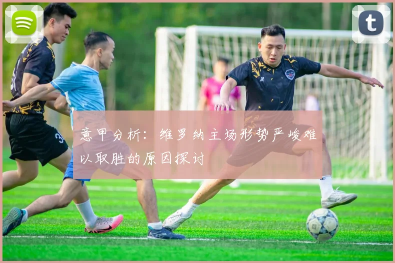 意甲分析：维罗纳主场形势严峻难以取胜的原因探讨